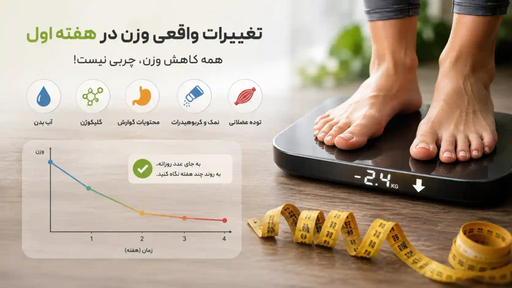 تغییرات وزن در هفته اول فستینگ و نقش آب و گلیکوژن
