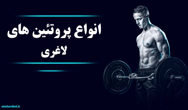 انواع پروتئین برای لاغری