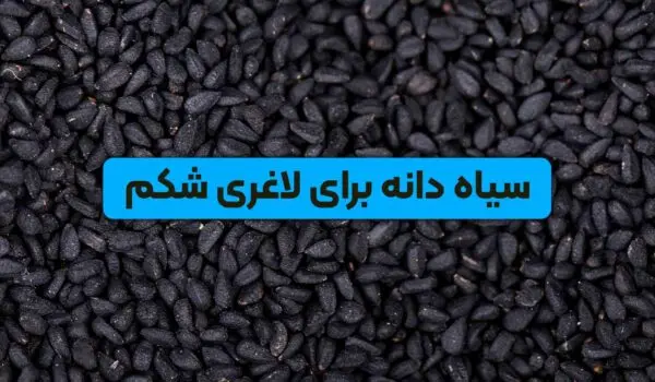 سیاه دانه و لاغری شکم