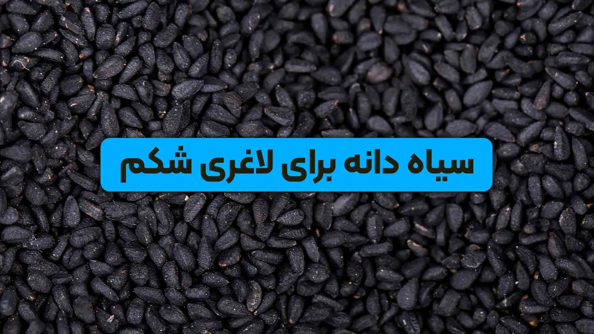سیاه دانه و لاغری شکم