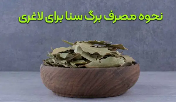 طریقه مصرف برگ سنا برای لاغری