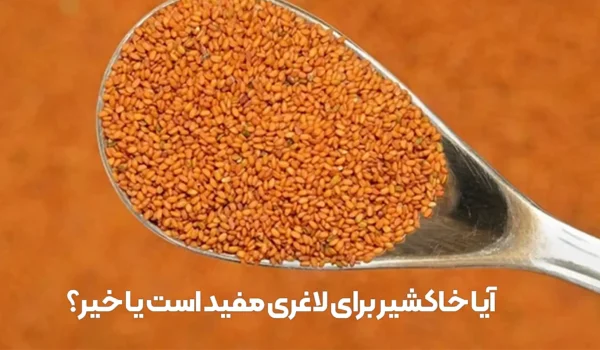 آیا خاکشیر برای لاغری مفید است یا خیر؟