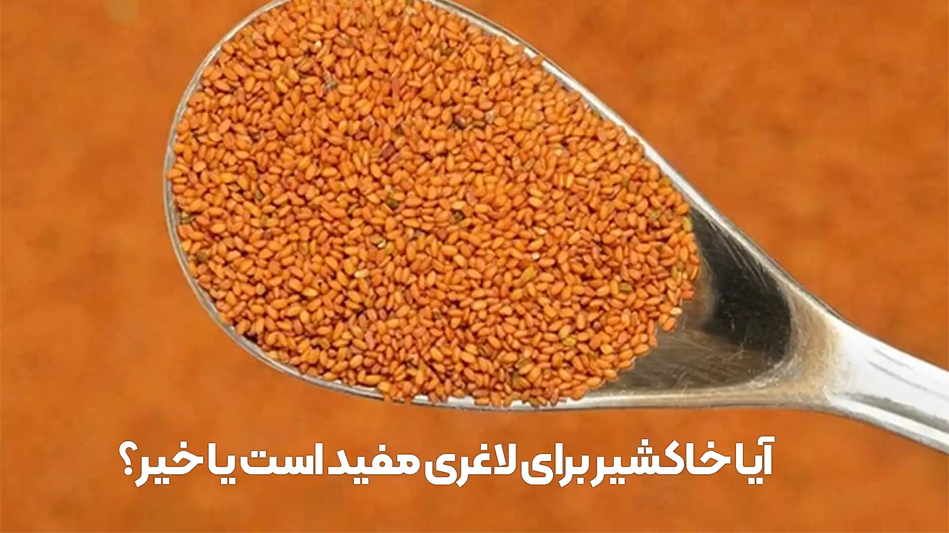 آیا خاکشیر برای لاغری مفید است یا خیر؟