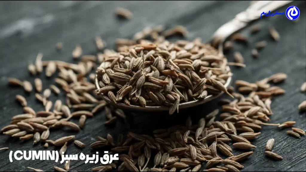 عرق زیره سبز