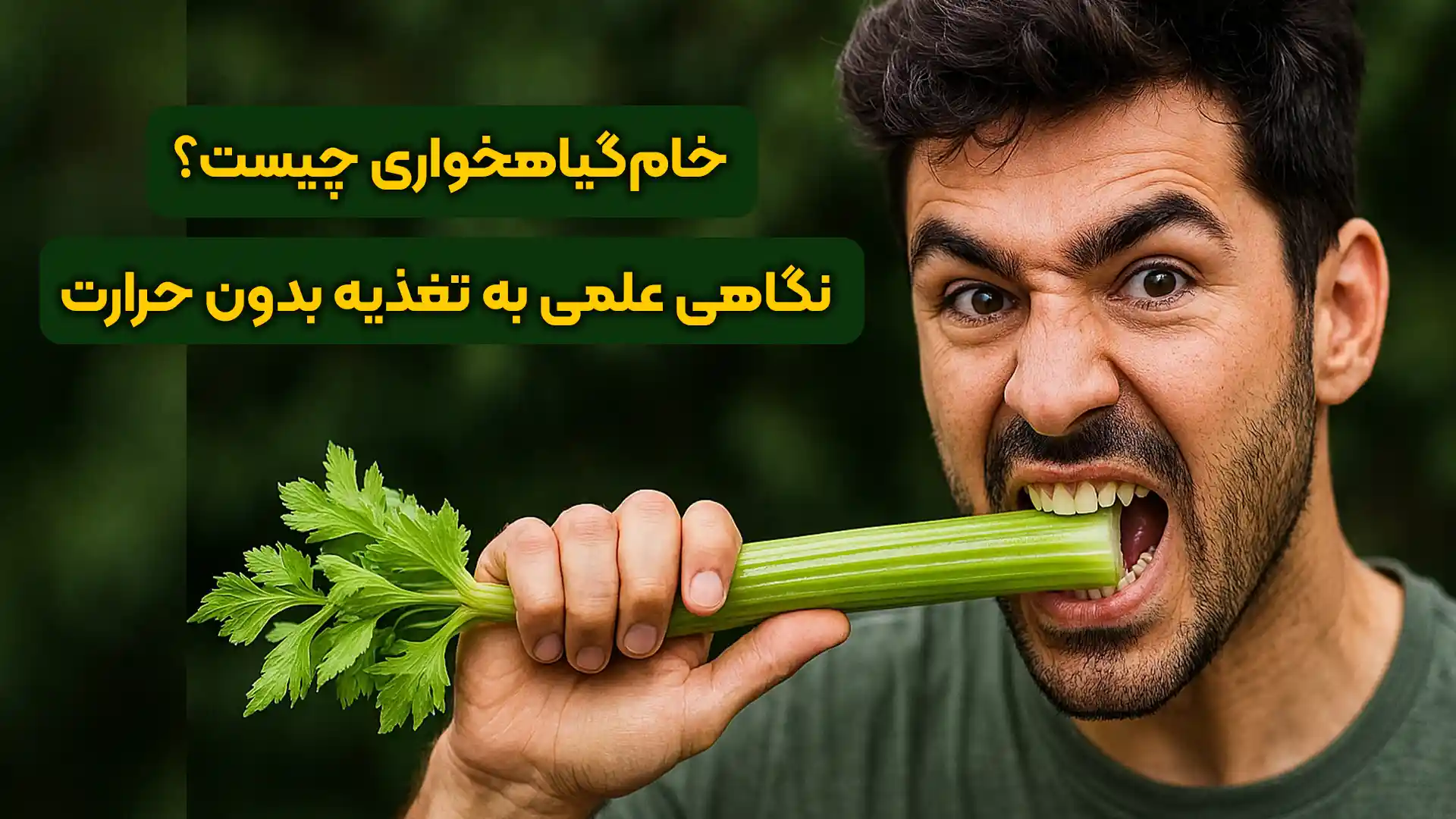 خام گیاهخواری چگونه است؟